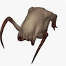 HEADCRABAROLE member profile picture