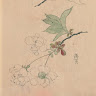 ふく芳