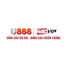 U888 Foundation