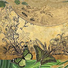 Lynh Nguyễn