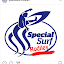 Special Surf SCHOOL & CAMP RODILES - Asturias (Owner)