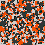 عضو: Night On Earth