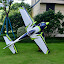 RC SKYWING (Owner)