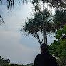 Rifki Fauzi