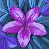 View user_i994clb67xifx6cj's Profile