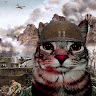 alkash_kalash member profile picture
