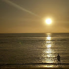 User: Jean-pierre MEMETEAU