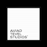 Aviad Tevel