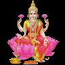Lucky GUPTA