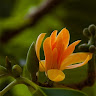 Amruta Bhoir profile picture