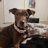 GillTidly member profile picture