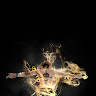 bilfaa