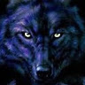 wolfodinochka11365's Avatar