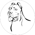 Avatar de Salvatore.i