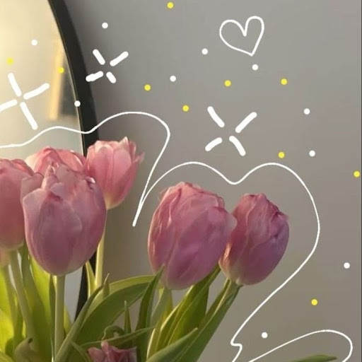 *＊✿❀ 𝒜𝓇𝒾𝑒𝓈 ❀✿＊*