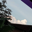 Kullanıcı: Hafsha Aqilla