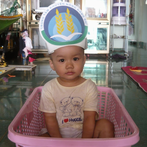 SIÊU THỊ VIETWISE (SẢN PHẨM VÌ SỨC KHỎE)