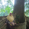Created by