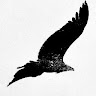 Jingi's Avatar
