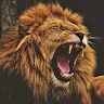Hunter Hunter
