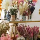 Használó: berrahal nadir