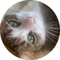 Avatar de Claude.e