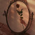 author-avatar