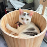 賴紹洧