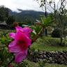 Created by