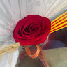 Created by