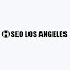 Seo Agency Los Angeles (Owner)