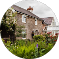 Yellow Tree Studio, Website Development - Egham