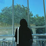 Maulida Al-Jufri