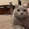 Avatar 1