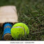 Tennis Cricket