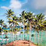 Ari Aronowitz's photo
