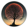 user-avatar