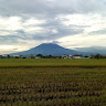 Serikat Petani Rembang