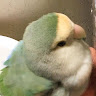 user_c3ojrz6j2a2bdbij member profile picture