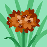 Codolio profile picture for @yashika