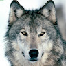 user_qraalcmpfq2p1kt6 member profile picture
