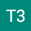 T3 P4