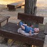 בתי גולדברג's photo