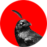 birdesign's Avatar