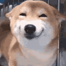 user_l9xemr6njbfl60yp member profile picture