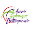 Avenir Gymnique la Chataigneraie AGC (Owner)