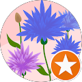 Avatar de C.
