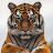 Avatar de El Tigre