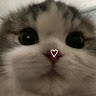 Vix