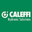 Caleffi Hydronic Solutions (Owner)